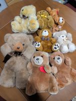 Kuscheltier Sammlung: Süssi Braune Teddybären für Sammler!
