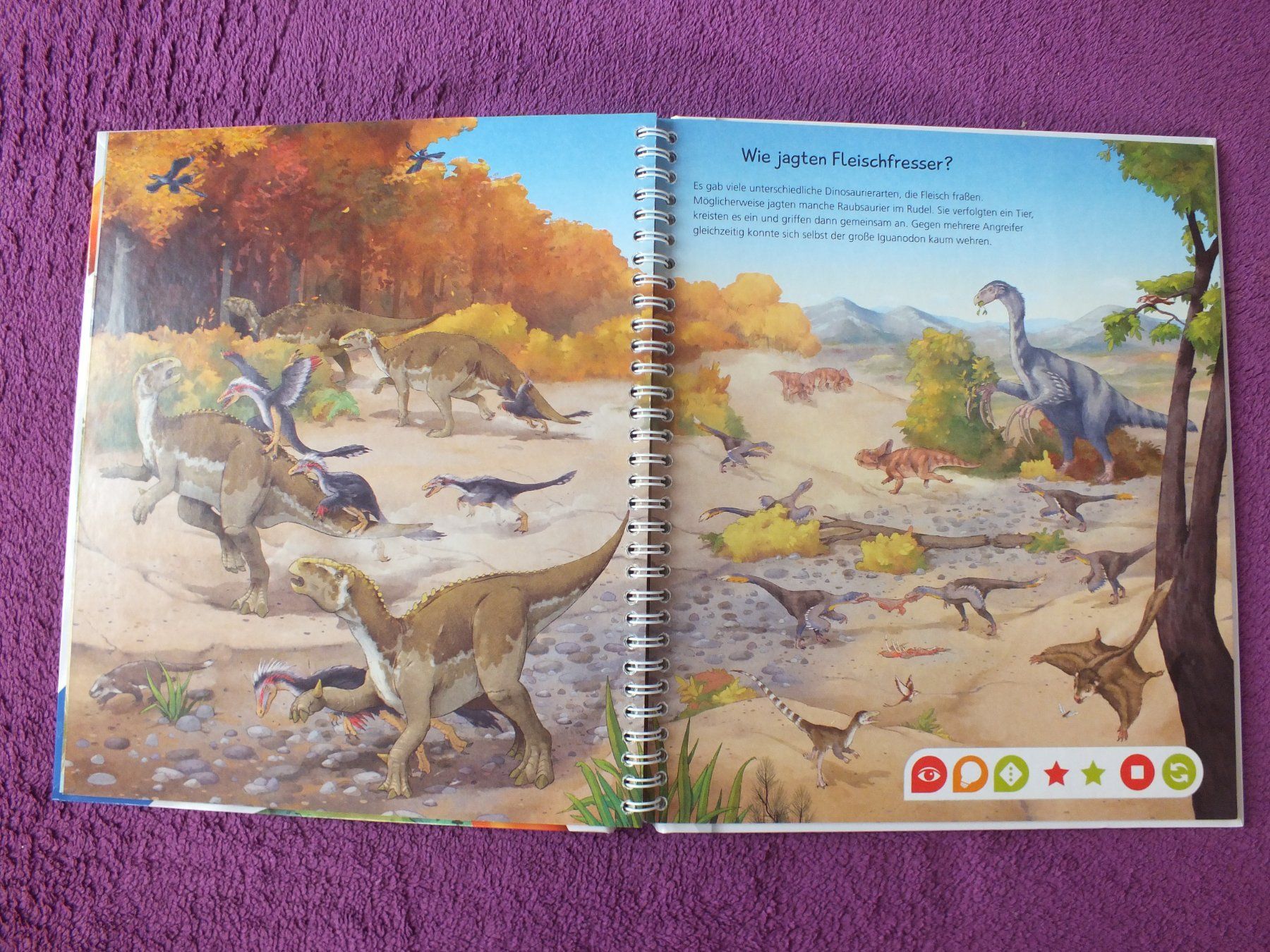 Bücher: tiptoi Buch - Wir entdecken die Dinosaurier – Gebraucht aus Müllheim Dorf von Seeeule01 6