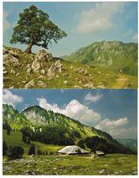 2 AK Landschaftsbilder Kanton Freiburg