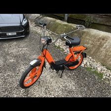 Profile image of Rene701