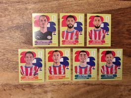 Panini Sticker WM 2026 PAR