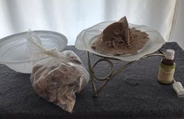 Sandrosen mit Schale
