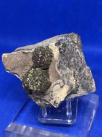 Mineral Pyrit kugelig auf Schalenblende Polen 114 Gramm
