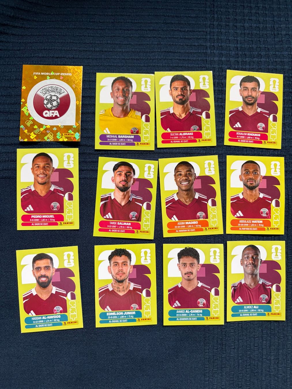 Panini Carte collezionabili: 12 Panini Sammelbilder von Qatar – Usato da Thalwil venduto da kon_v82n