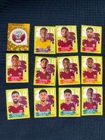 12 Panini Sammelbilder von Qatar