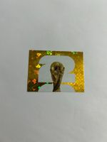 Panini FIFA World Cup 2026 - FWC 1