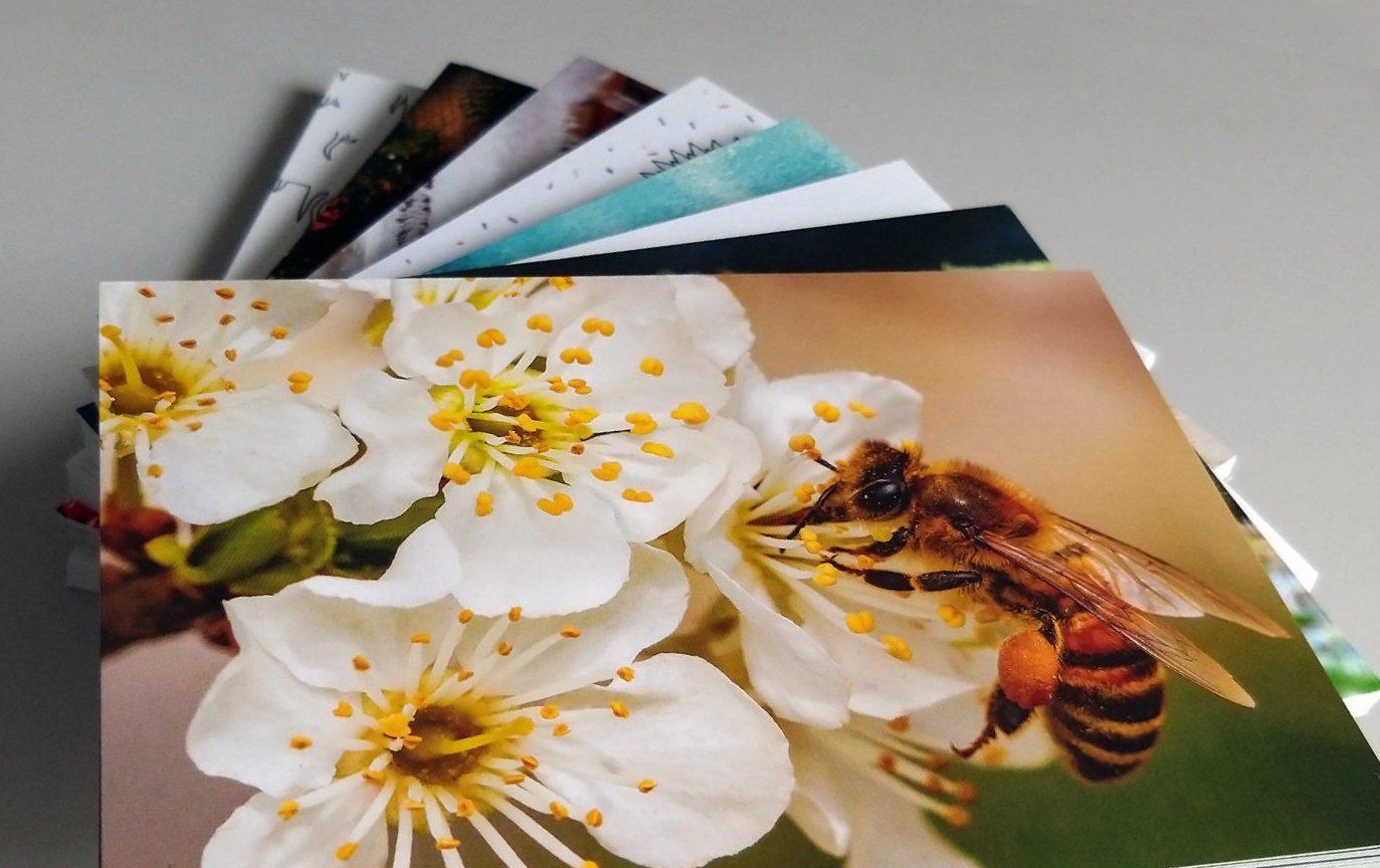 Ansichtskarten: 40 VORFRANKIERTE Postkarten A-Post Karten Briefmarken Brief – Neu und originalverpackt aus Bellach von kgs-online 3
