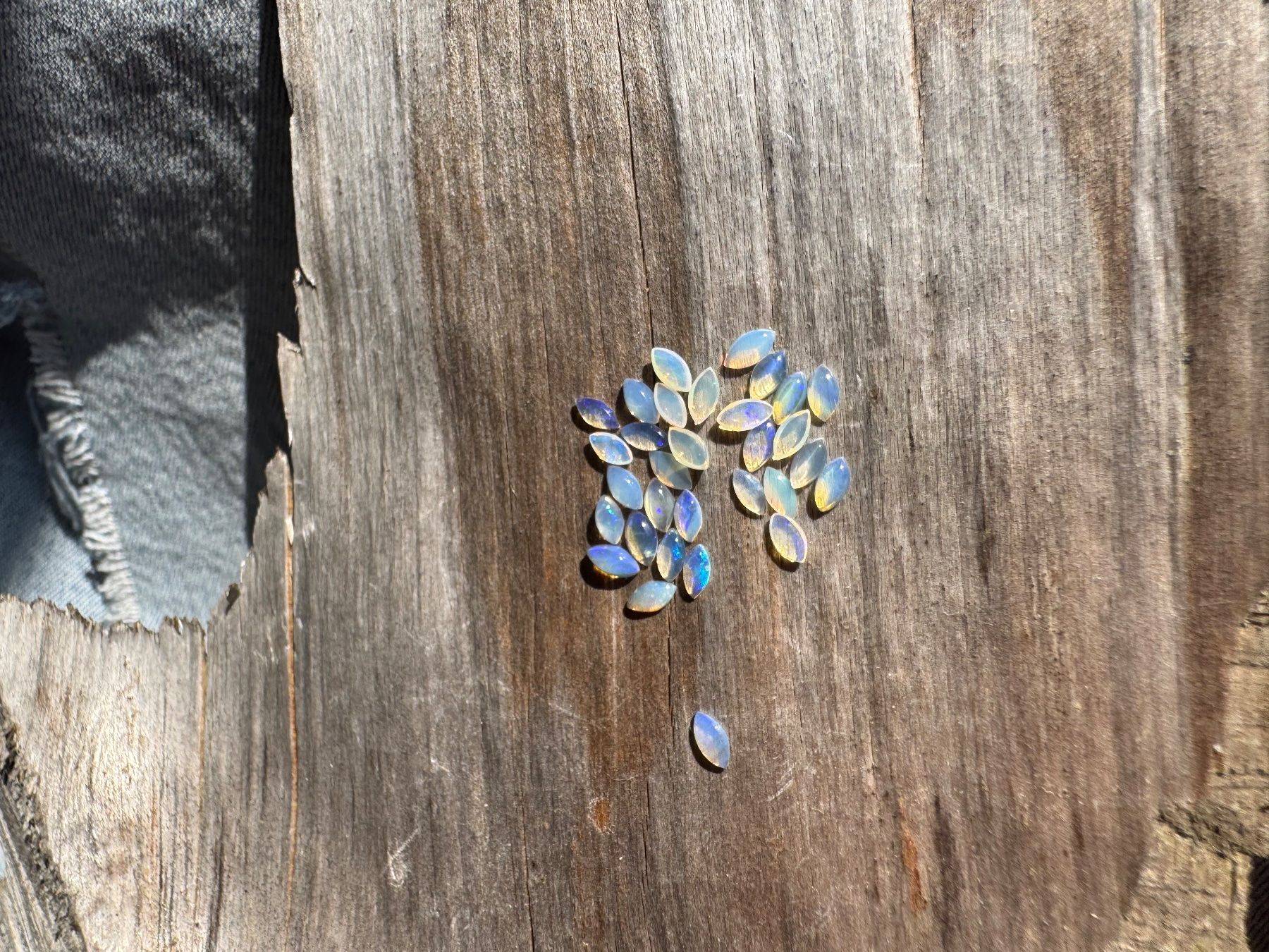 Fossili: 30 Stk  Cabochons Opal  echt!! winzig neu    2x4mm  solid – Nuovo e nell'imballaggio originale da Leuggern venduto da gemshow 6