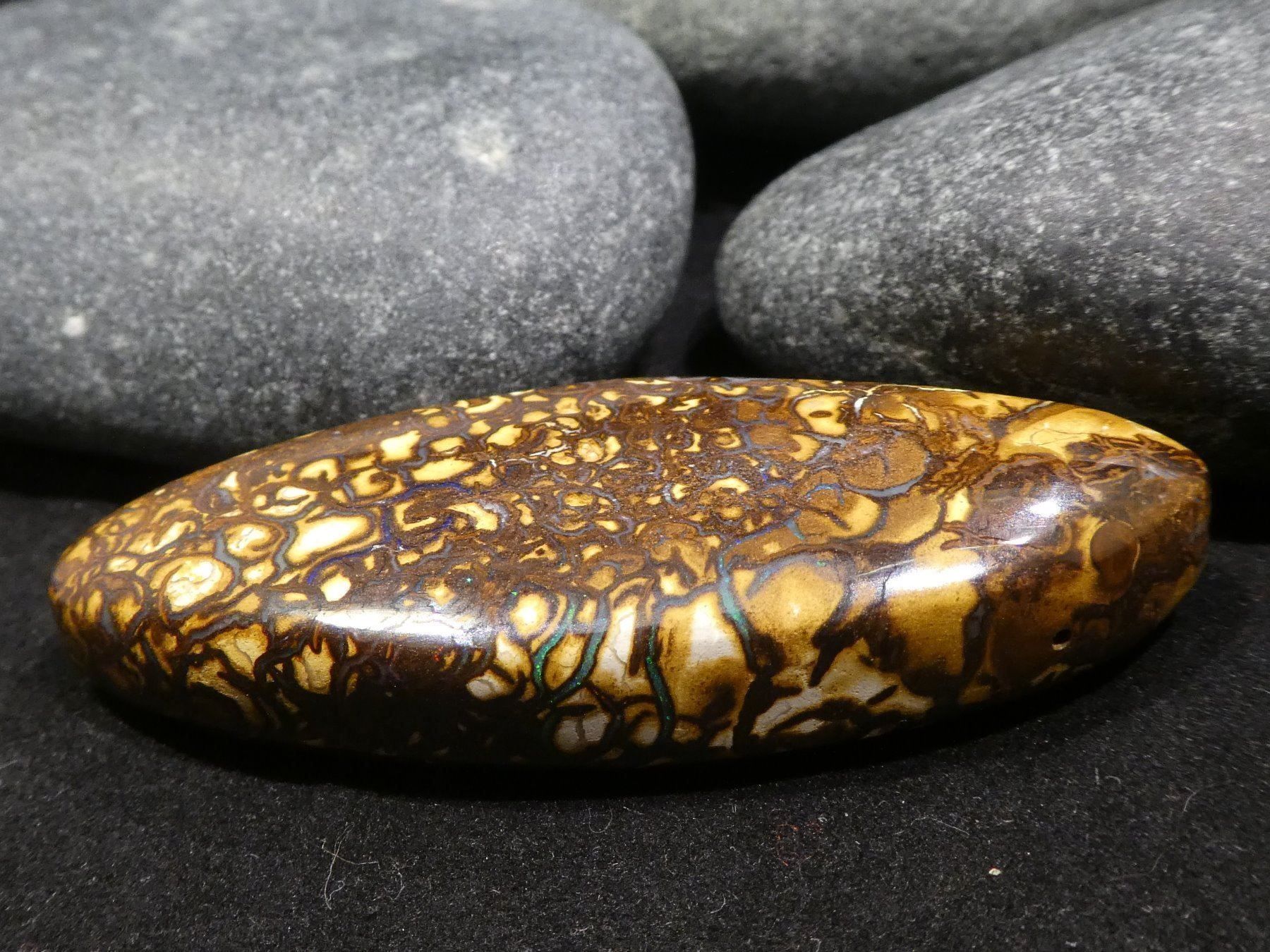 Pietre preziose: Yowah Opal Handschmeichler – Nuovo e nell'imballaggio originale da Niederbüren venduto da Raphael014 6