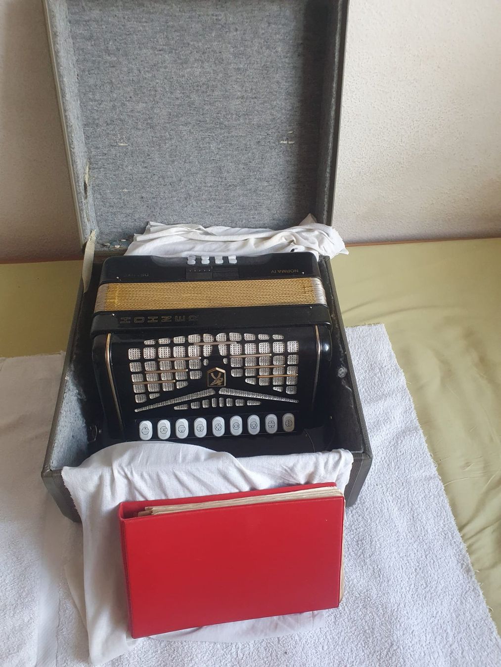 Instruments de musique: Hohner Norma IV De Luxe inkl. Koffer – D'occasion à Basel par FirstClass4000