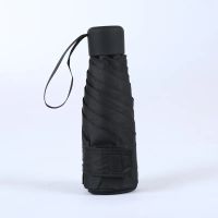Kleiner Mini Taschenschirm 17cm Klein