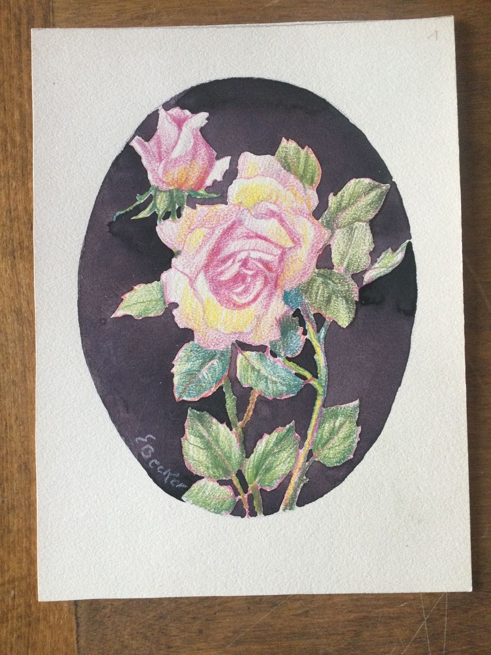 Dipinti: Ernest Becker , dessin de rose – Usato da Yvorne venduto da herjoy