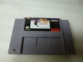 Brett Hull Hockey Super Nintendo (USA)
