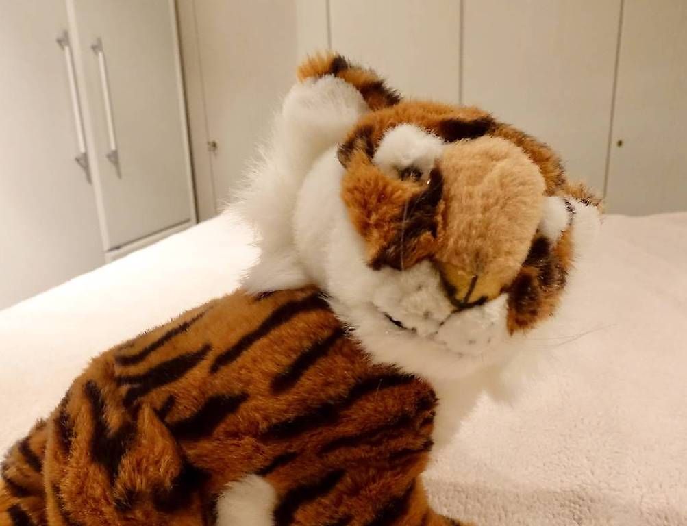 Giocattoli: Peluche bébé tigre – Usato da Genève venduto da flocon06 2