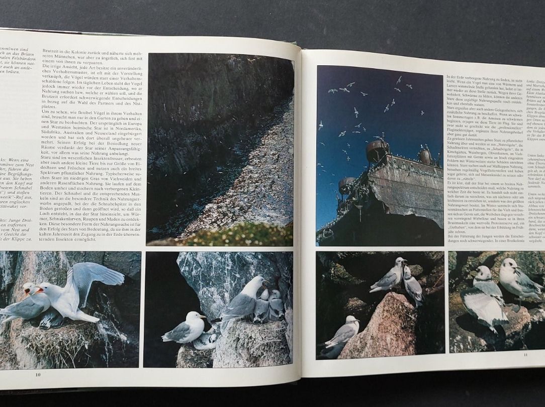Libri: Das Leben der Vögel /Robert Burton – Usato da Zürich venduto da t24_de 3