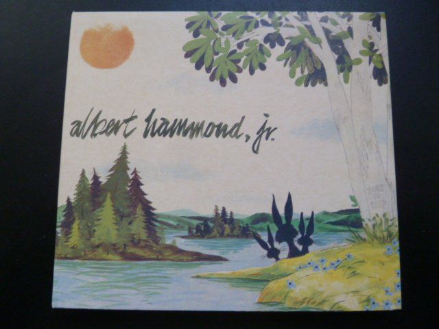 CD: Albert Hammond jr. (Strokes) - Yours to keep – Usato da Au ZH venduto da sikoku