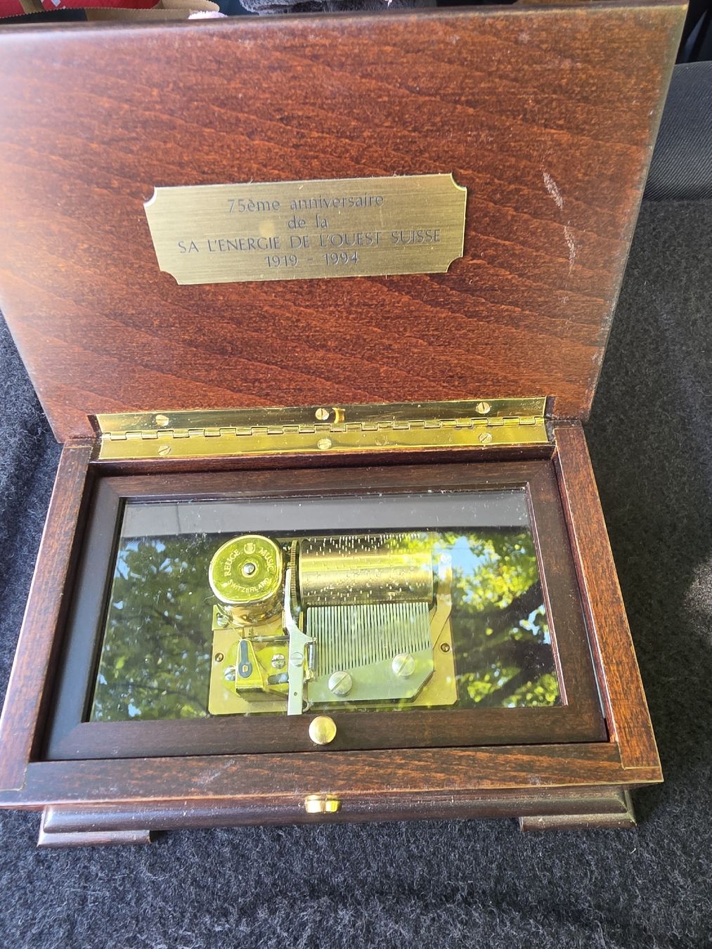 Reuge Carillon: Boite a Musix Reuge – Usato da Val-d'Illiez venduto da AntiqueG 2