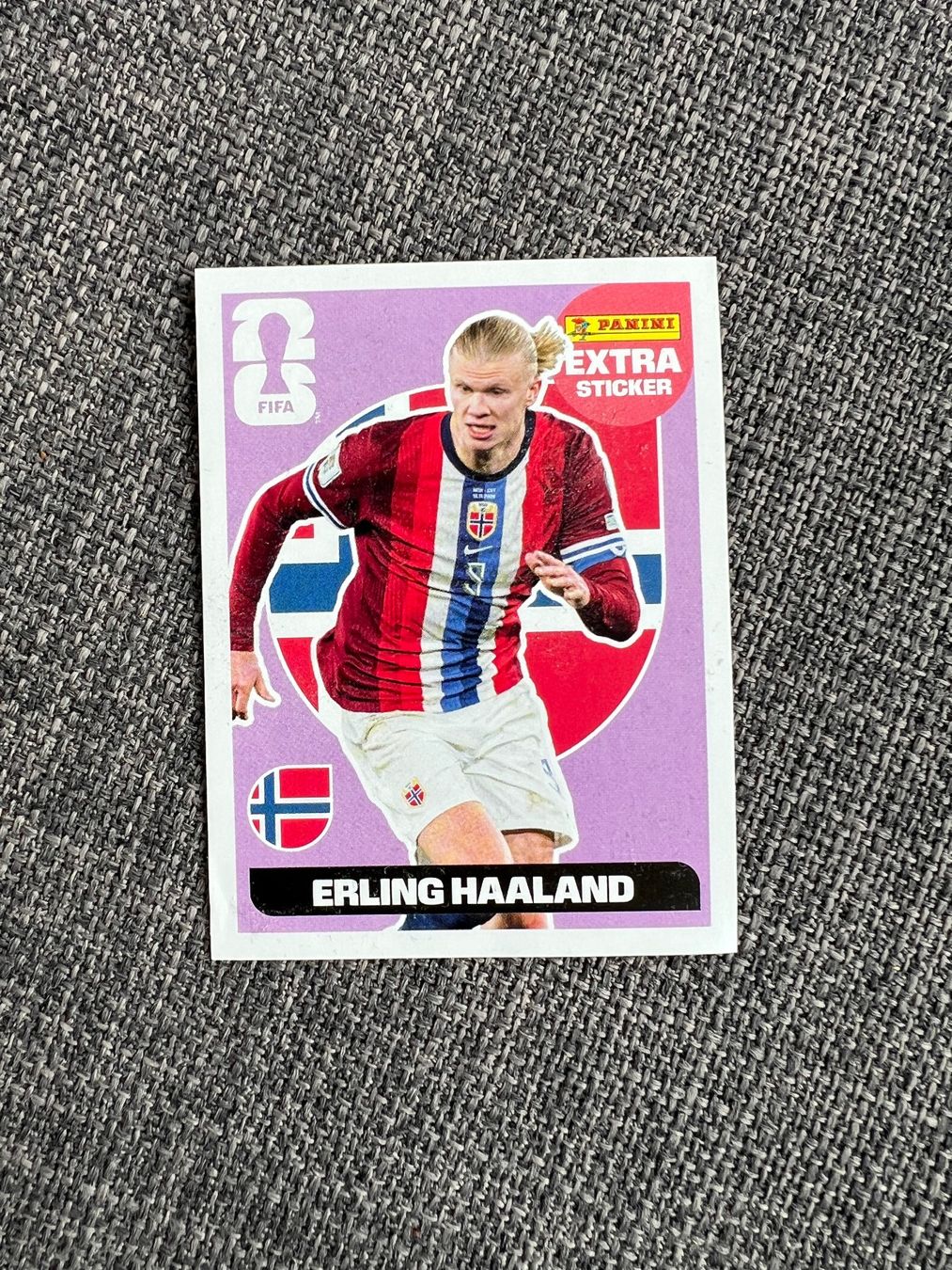 Panini Cartes à collectionner: Panini Extra Sticker Erling Haaland – D'occasion à Weggis par Strassi8