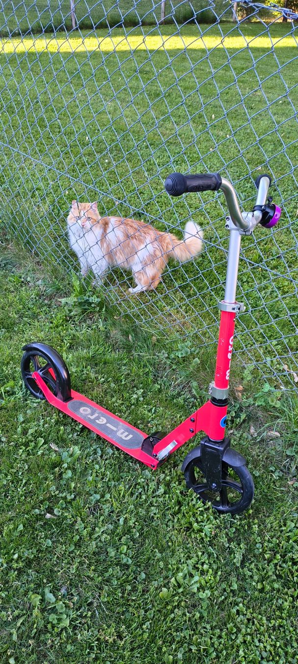 Micro Kickboard: Micro Cruiser Scooter – Gebraucht aus Bülach von korolt 1
