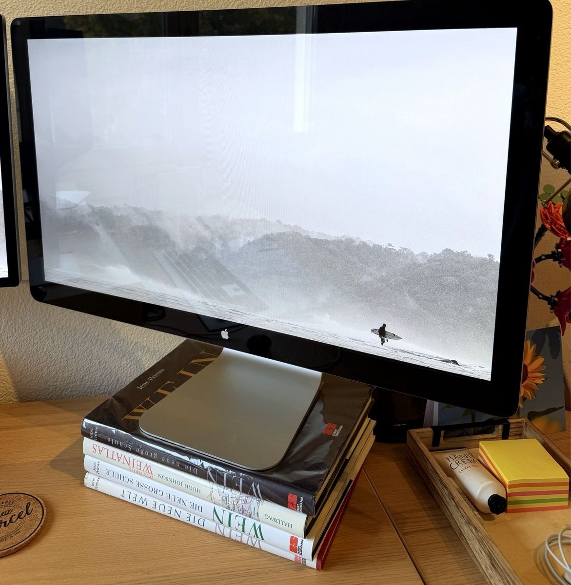 Apple Monitor: Apple Thunderbolt Display 27" (2560x1440) – Usato da Winkel venduto da vnzkln 1