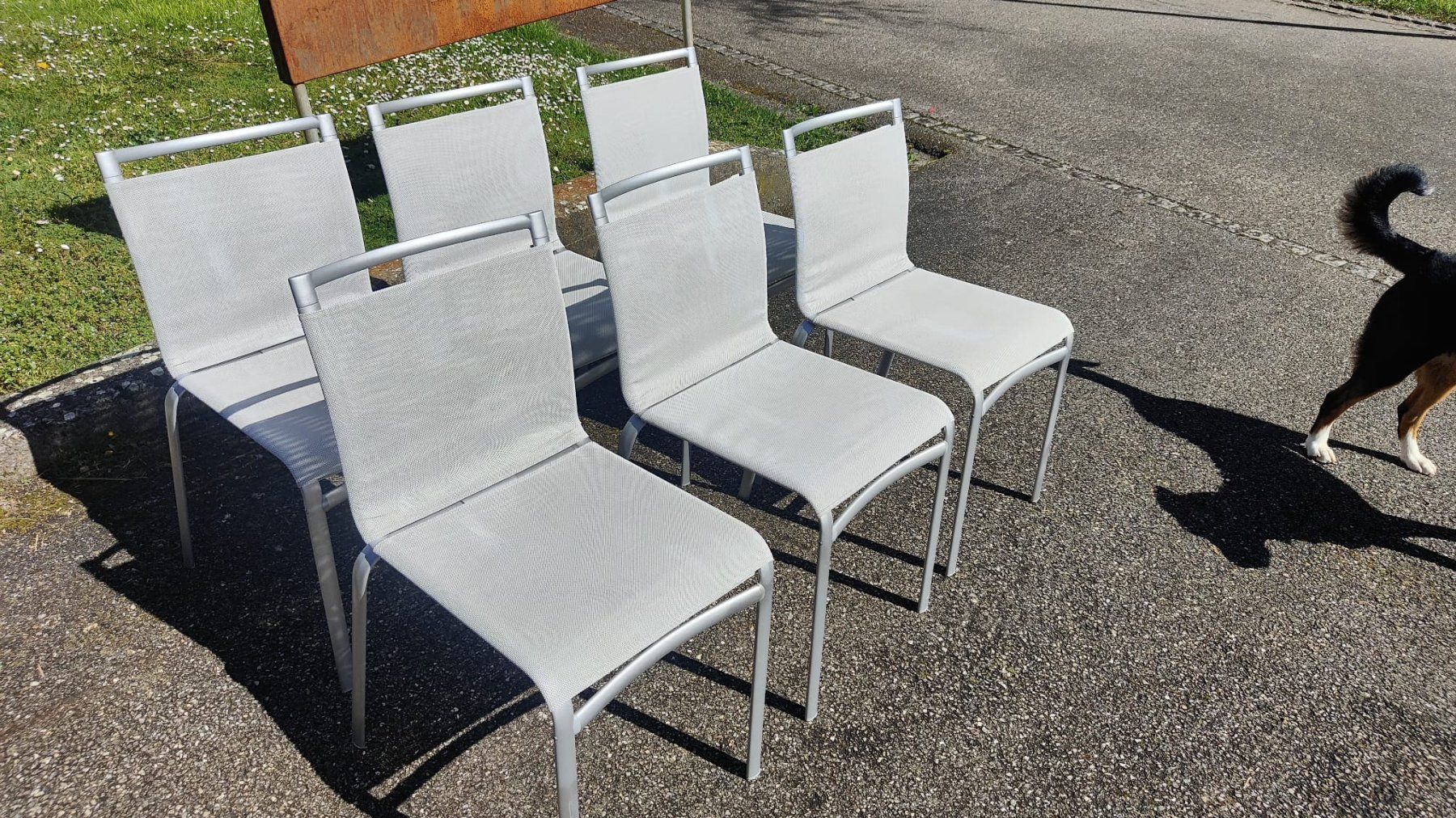 Sedie: Esszimmer Stühle, 6 Stk. – Usato da Biberist venduto da tann7 5