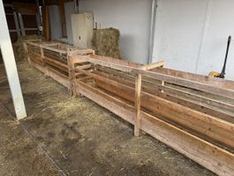 Fressgitter für Schafe