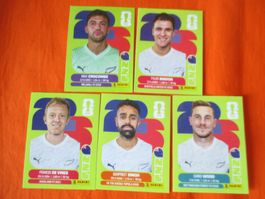 Panini WM 2026, NZL 2, 7, 8, 11, 17