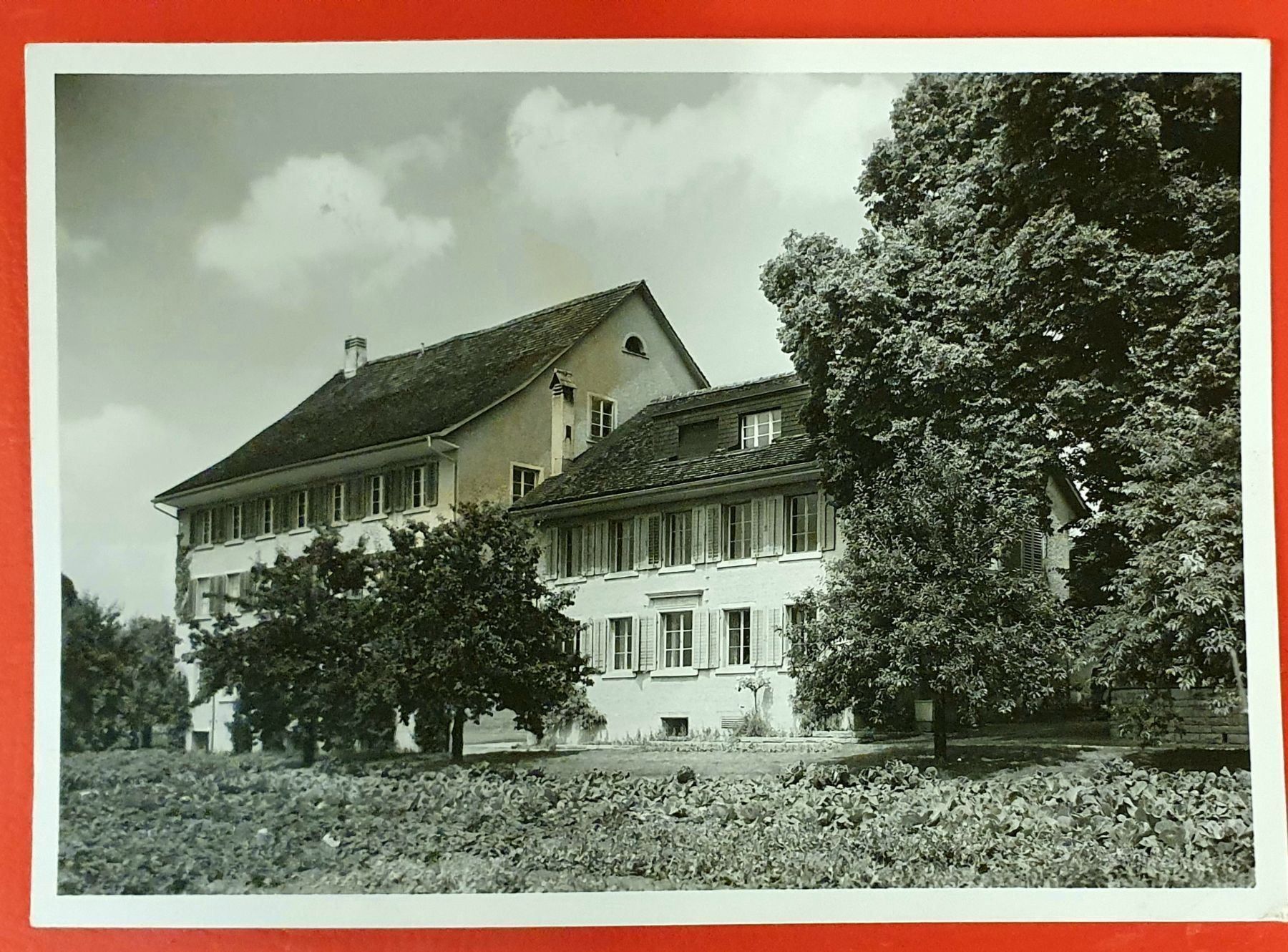 Cartoline postali: Pfäffikon 1956 – Usato da Kreuzlingen venduto da Rschweiz1