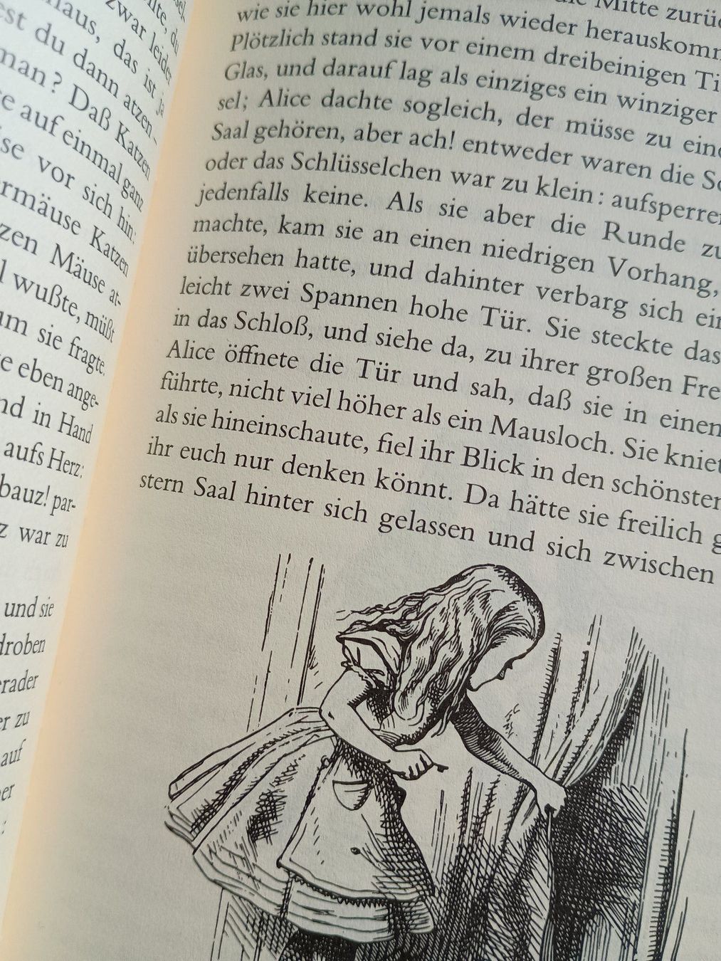 Libri: Alice im Wunderland - 2 Bände – Usato da Turbenthal venduto da ron_9sdz 1
