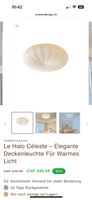 Elegant Cramer Design Ceiling Light - Le Halo Céleste