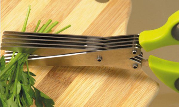 Elettrodomestici da cucina: IBILI - Kräuterschere 22cm – Nuovo e nell'imballaggio originale da Thalheim an der Thur venduto da elmarket 1