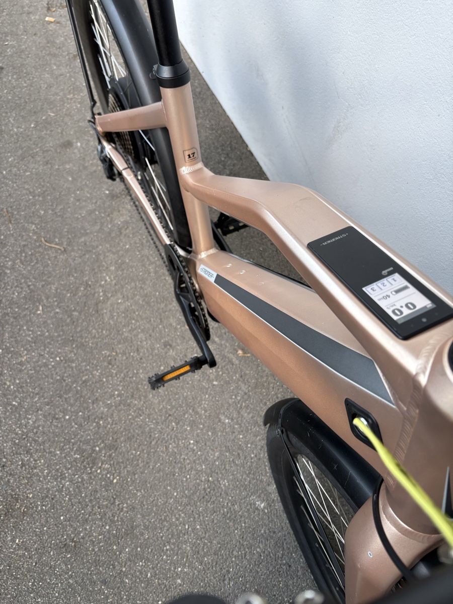 Stromer Vélos: Stromer ST1x Comfort, 45km/h, Gr. M/17" – D'occasion à Biel/Bienne par dalbotex 7