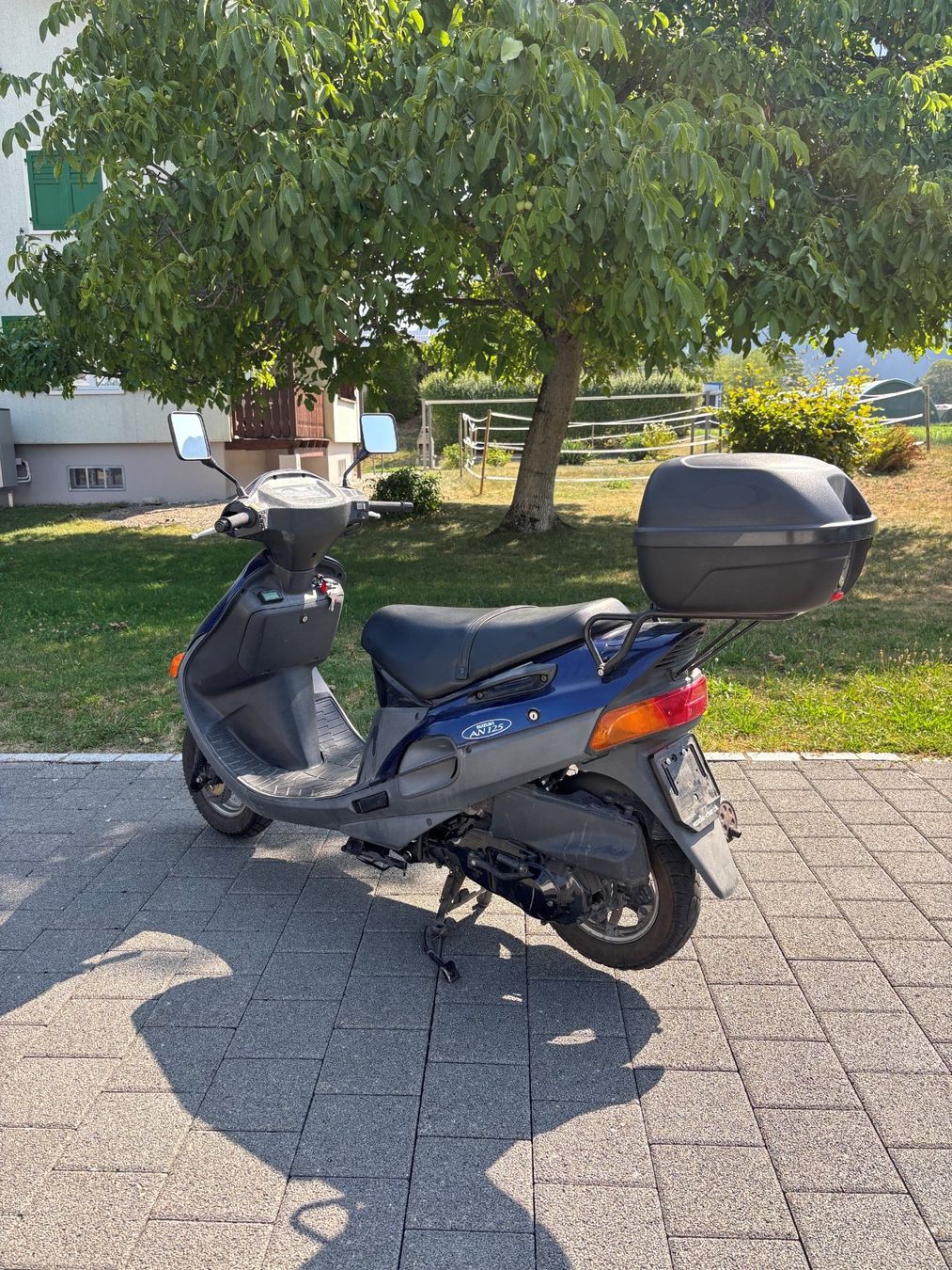 Suzuki Scooter: Suzuki AN125 – Usato da Landquart venduto da jes_6zrh 2