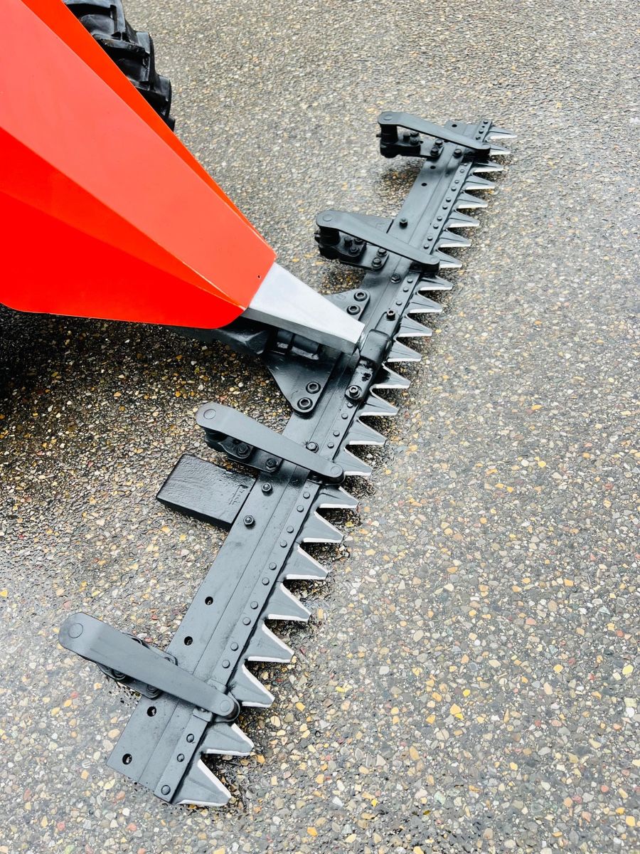 Bucher Tagliaerba: Balkenmaher Bucher Record 25 Doppel Rad Profi – Usato da Urdorf venduto da mas_5wfz 4