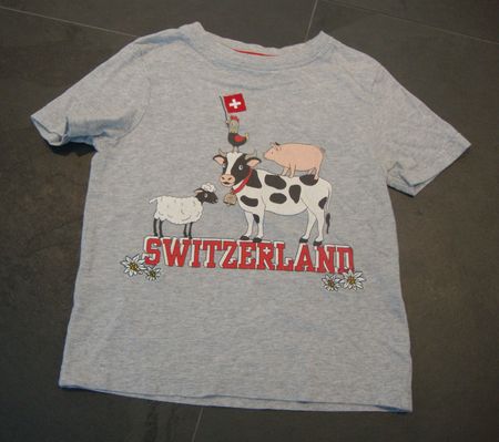 ++ SCHWEIZ ++ T-Shirt in grau ++ Gr. 104 / 110 ++