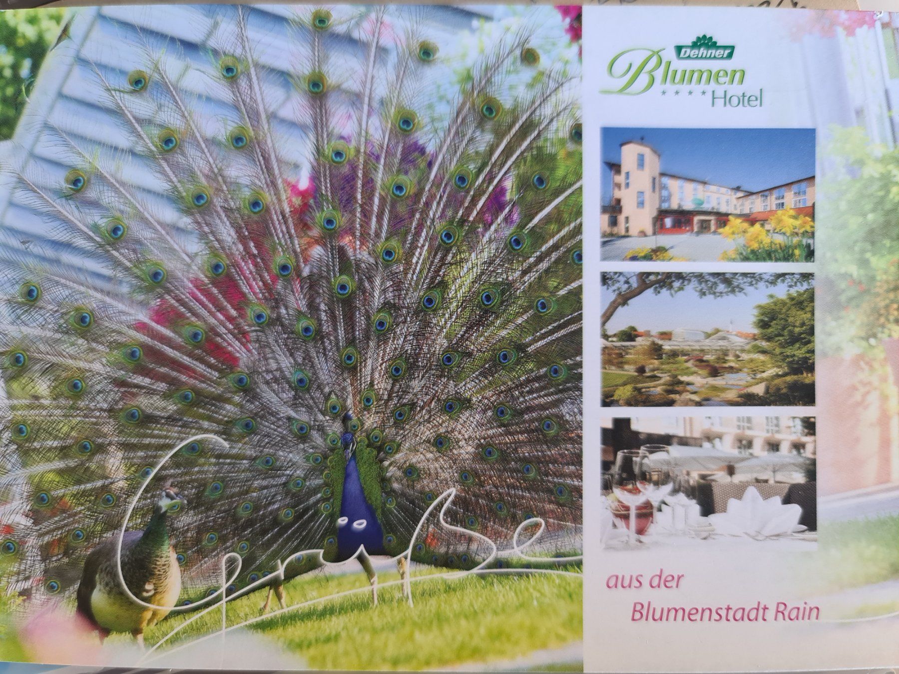Cartoline postali: Ansichtskarte Hotel Blumen Hitel Dehner Rain – Usato da Dintikon venduto da Vexi