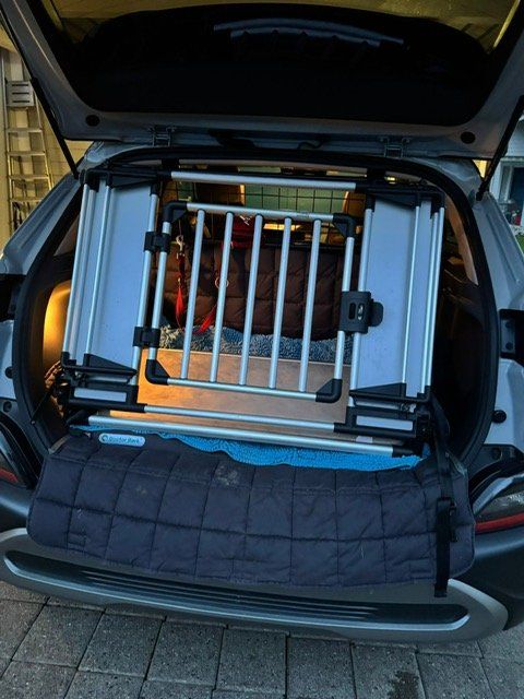 Autos: Hundegitter – Gebraucht aus Koppigen von Gerhard1 1