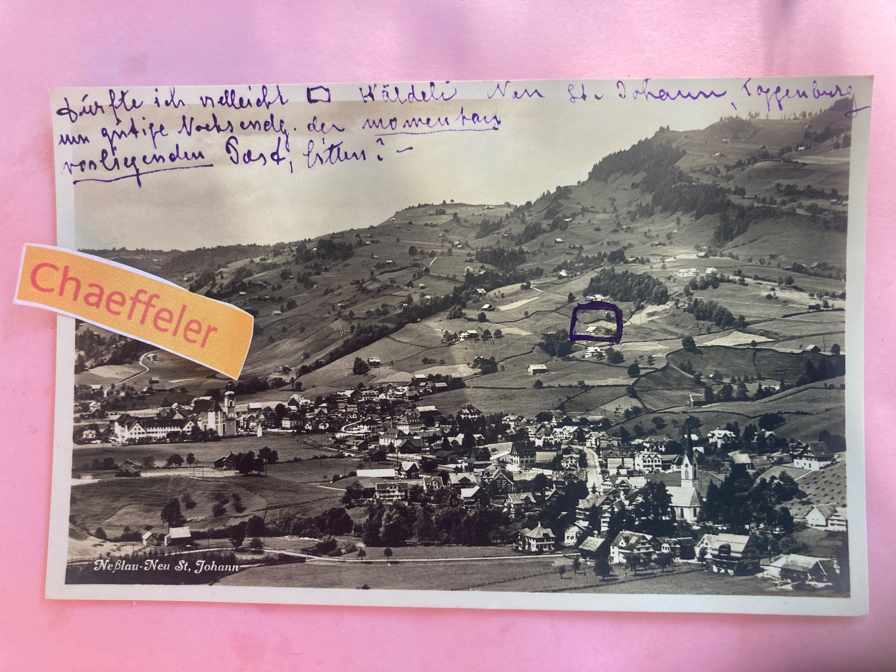 Cartoline postali: 1921 Nesslau-Neu St. Johann – Usato da Zürich venduto da Chaeffeler