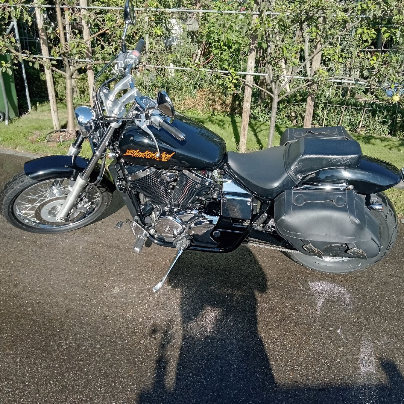 Honda Chopper: HONDA VT 750 DC , Black Widow – Usato da Frauenfeld venduto da Mataka 3