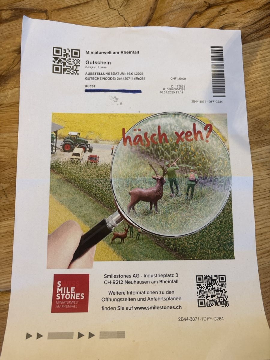 Tickets: smilestone ticket kind – Neu (gemäss Beschreibung) aus aathal-seegräben von buy-and-bye