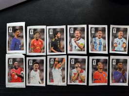 12 Coca-Cola Panini FIFA WM 2026 Sticker komplett