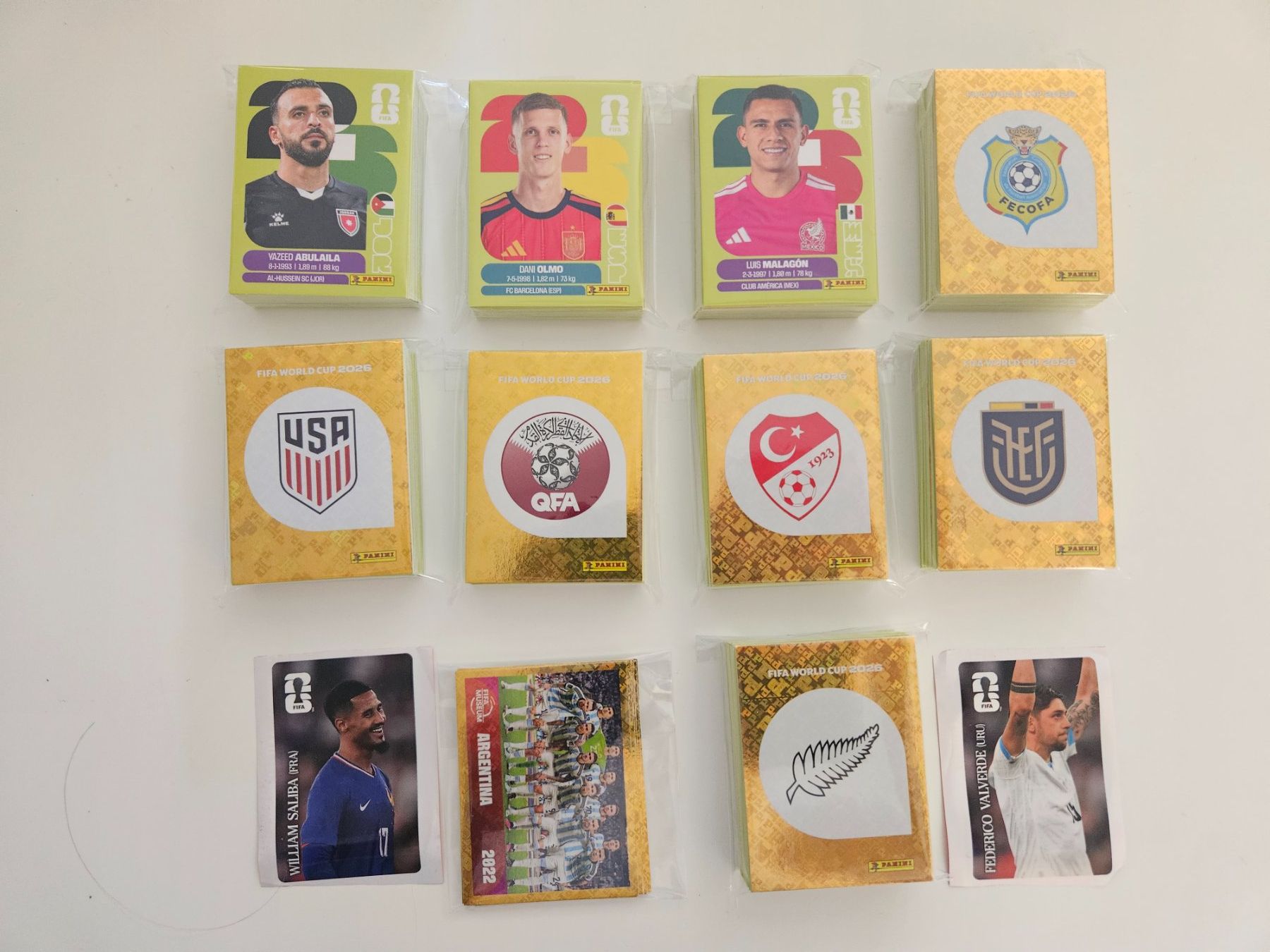 Panini Carte collezionabili: 626 figurine wm2026 + 2 Coca-Cola – Nuovo (secondo la descrizione) da Morbio Inferiore venduto da vin_fdj2