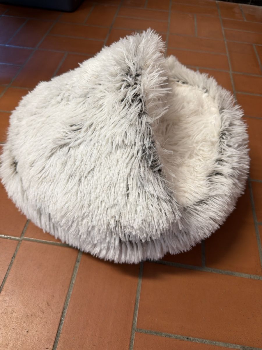 Liege- & Schlafplätze: Katzenbett / Hundebett – Gebraucht aus Hospental von bal_bwr5 1