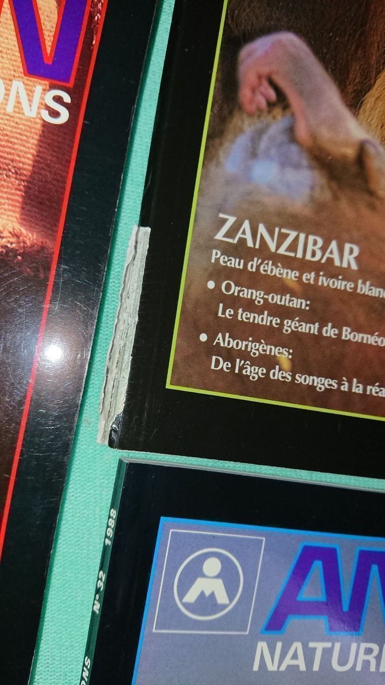 Riviste & Magazine: Animan Magazine – Usato da Cortaillod venduto da signep 3