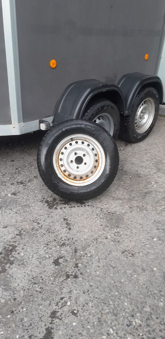 Rimorchi: Pferde / Sachentransportanhänger – Usato da Ermenswil venduto da puma_91 8