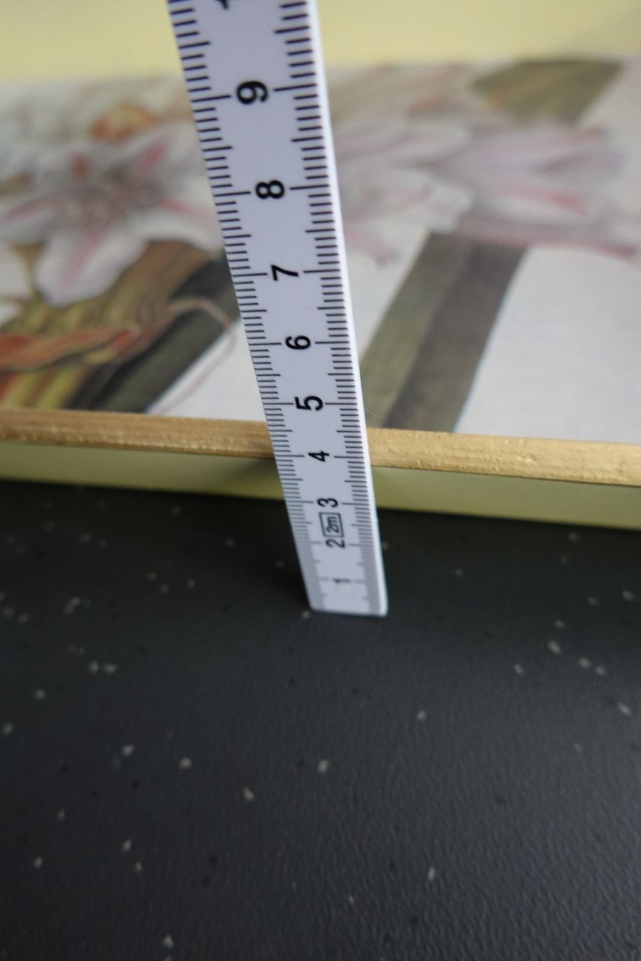 Servierplatten: 2x Tablett Serviertablett mit Blume Amaryllis NEU – Neu (gemäss Beschreibung) aus Jona von simongarden 7