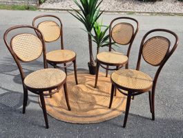 Chaises bistrot canage  RADOMSKO ZPM