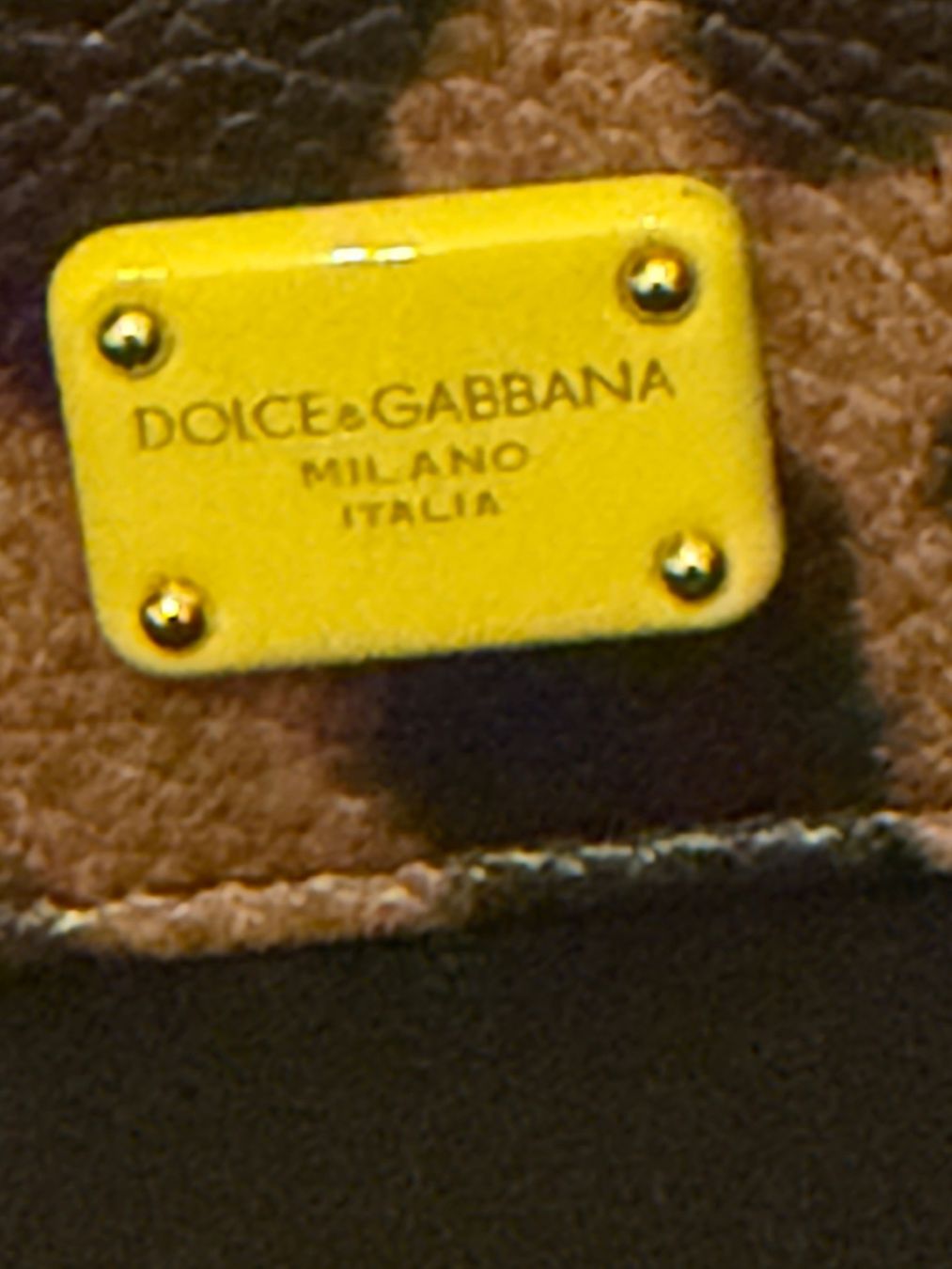 Dolce & Gabbana Altro in  Abbigliamento & Accessori: Neue Dolce & Gabbana Kartenetui Leo Print – Nuovo (secondo la descrizione) da Basel venduto da Blausara707 3