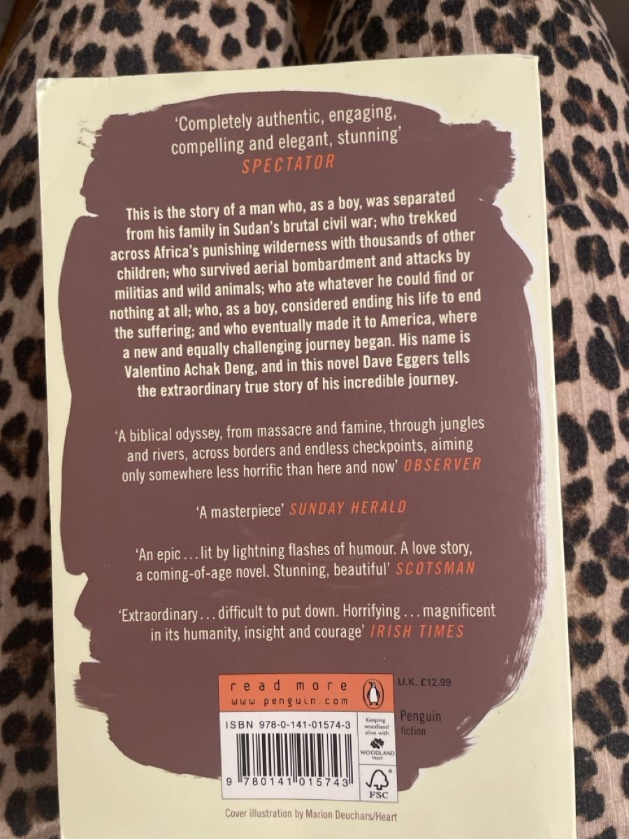 Bücher: Buch "What is the What" Dave Eggers – Neu (gemäss Beschreibung) aus Susten von aur_6fmr 1