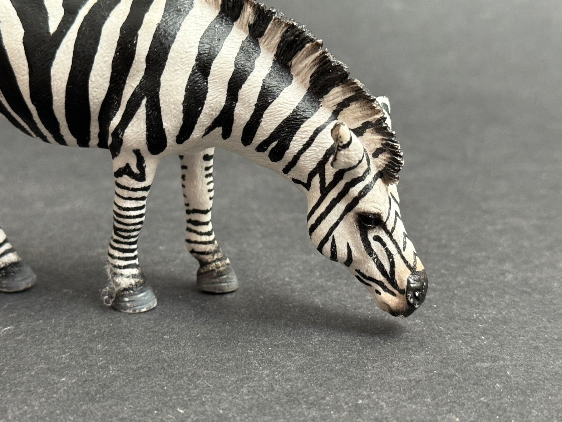 Schleich Statuette: Schleich 14609 Zebra, grasend – Usato da Ennetbaden venduto da mapa05 6